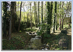 Sant Feliu de Pallerols